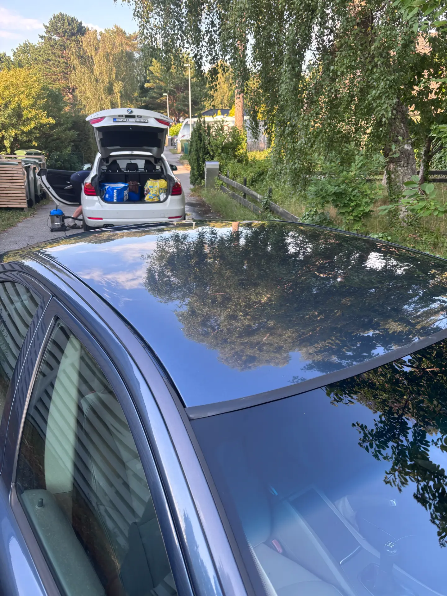 Efter tvätt – Biltak – smuts och pollen