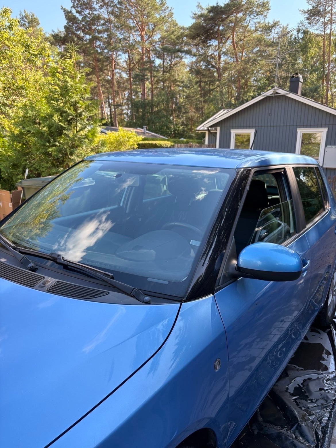 Efter tvätt – Vindruta & lack – pollen och barr